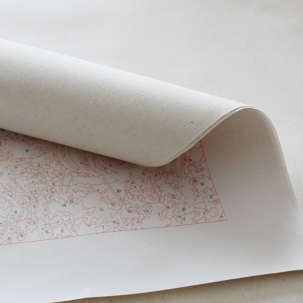 Paint by Numbers | Fruit Basket