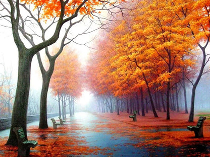 Paint by Numbers | Autumn Views